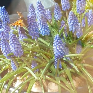 Workshop: Intuïtief Schilderen & Tekenen met de Seizoenen