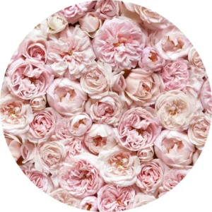 Speciaal voor jou: creatieve workshop voor aarding en liefdevolle aandacht voor jou! TLC…